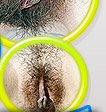 hairy pussy, unshaved bush pictures & movies