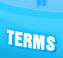 TERMS AND CONDITIONS